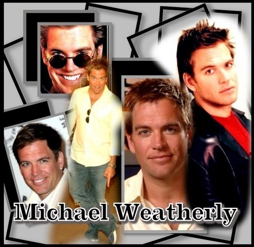  Michael Weatherly