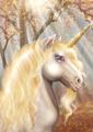 Serenity - unicorns photo