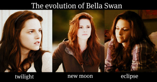  The Evolution Of Bella