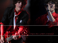 the-jonas-brothers - The Jonas Brothers wallpaper