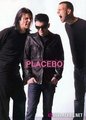 The man and the band - placebo photo