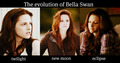 Twilight evolution - twilight-series fan art