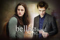 bella and edward - twilight-series photo