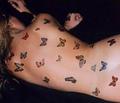 butterflies ink - tattoos photo