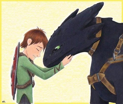 hiccup & toothless