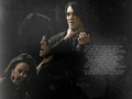 the-vampire-diaries-tv-show - jeremy/anna wallpaper