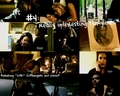 the-vampire-diaries-tv-show - 10 Reasons To Watch TVD<3 screencap