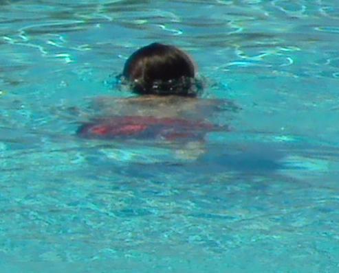 Blanket's Swimming Lessons PRINCE
