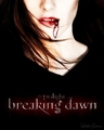 Breaking Dawn -Poster Collection  - twilight-series fan art