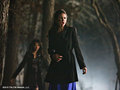 Damon and Elena 1x19 'Miss Mystic Falls' (NEW STILLS!) - ian-somerhalder-and-nina-dobrev photo
