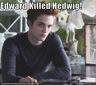  Edward killed Harry's Owl