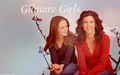 gilmore-girls - Gilmore Girls wallpaper
