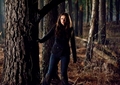 Let The Right One In pic - the-vampire-diaries-tv-show photo