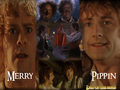lord-of-the-rings - Merry & Pippin wallpaper