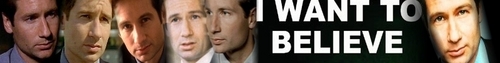  Mulder Possible Banner :)