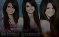 Selena Gomez - selena-gomez fan art