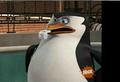 penguins-of-madagascar - Skipper with a whistle screencap