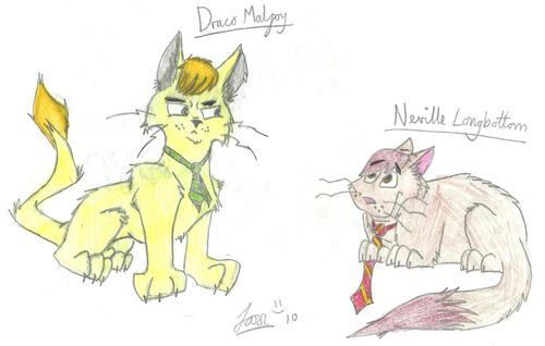 Some Harry Potter Cats