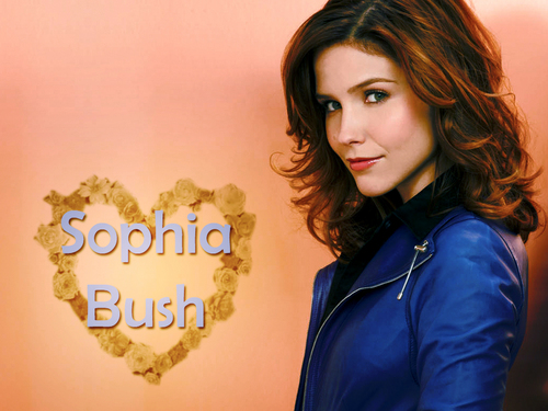  Sophia struik, bush