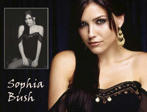  Sophia بش