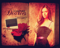 the-vampire-diaries-tv-show - TVD Calendar wallpaper