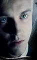 Tom Felton as Draco Malfoy - tom-felton photo