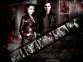the-vampire-diaries-tv-show - b/d wallpaper