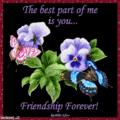 Forever Friends - butterflies fan art
