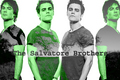 the Salvatore brotheres - the-vampire-diaries fan art