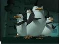 penguins-of-madagascar - !!!Stay Alert!!! screencap