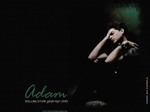  Adam Japan Rollingstone achtergrond