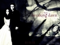 Breaking Dawn Poster & Teaser Poster - twilight-series fan art