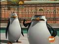 penguins-of-madagascar - Check out these muscles screencap