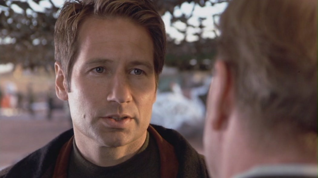david duchovny young. David Duchovny in quot;Evolutionquot;