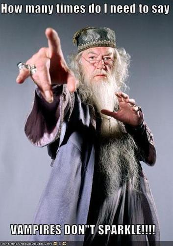  Dumbledore Owns