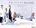 Friends Anatomy - friends fan art