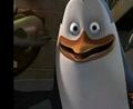 penguins-of-madagascar - Kowalski excited screencap