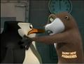 penguins-of-madagascar - Skipper and Marlene face to face screencap