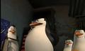 penguins-of-madagascar - Skipper thinking screencap