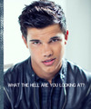 Taylor Lautner: WHAT ARE YOU LOOKING AT? - taylor-lautner fan art