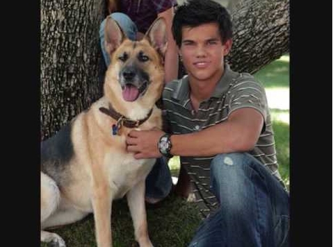  Taylor and his dog