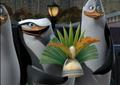 penguins-of-madagascar - The Magic Word is.. Funday!!! screencap