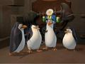 penguins-of-madagascar - There's no need to squaffle, boys! screencap