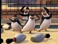 penguins-of-madagascar - Training screencap