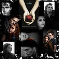 Twilight Saga - twilight-series photo