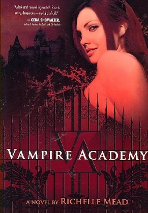 Vampire Academy book