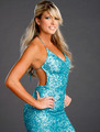 WWE DIVAS Dress to Impress  - wwe-divas photo