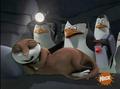 penguins-of-madagascar - Wake up, sister! screencap