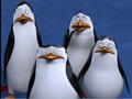 penguins-of-madagascar - What the deuce....!!! screencap
