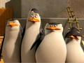 penguins-of-madagascar - You didn't see anything! screencap